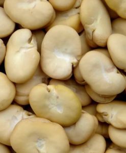 HABA PELADA 1Kg. (C-10)