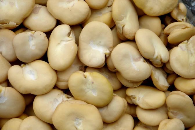 HABA PELADA 1Kg. (C-10)