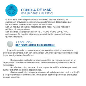 FT_concha-de-mar-1