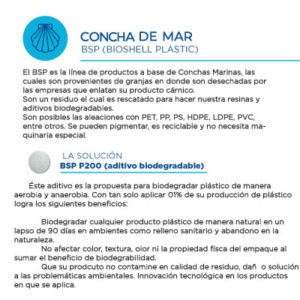 FT_concha-de-mar-1