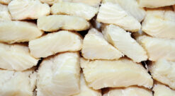 bacalao 0