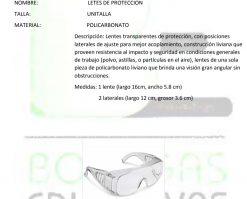 Ficha Técnica Lentes de Protección