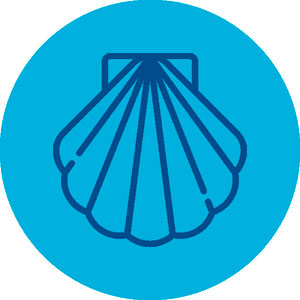 Icono-SeaShell-300x300-2.jpg