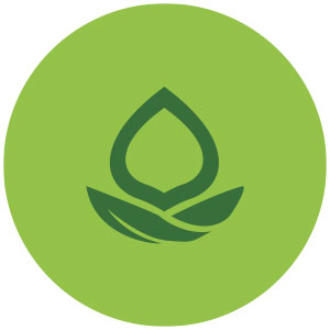 bio-icono-1.jpg