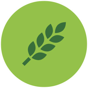 bio-icono-3.jpg