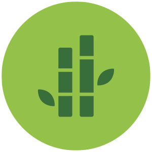 bio-icono-4.jpg