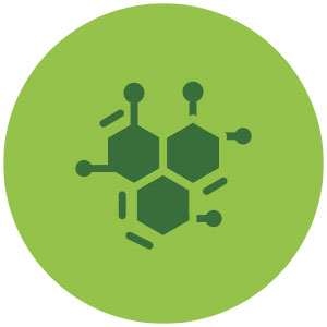 bio-icono-5.jpg