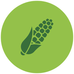 bio-icono-7.jpg